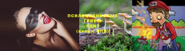 гашик Богородицк