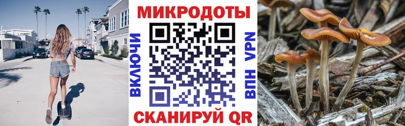 МЕГА рабочий сайт  магазин продажи   Калач  Псилоцибиновые грибы Magic Shrooms 
